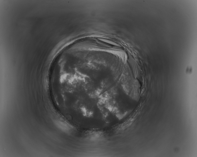 X0000096990247200803071100