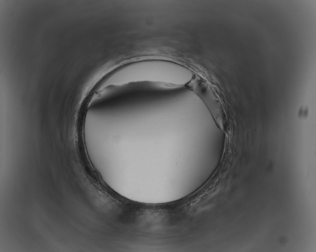 X0000096990248200803071100