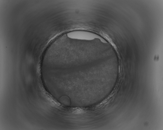 X0000096990249200803071100