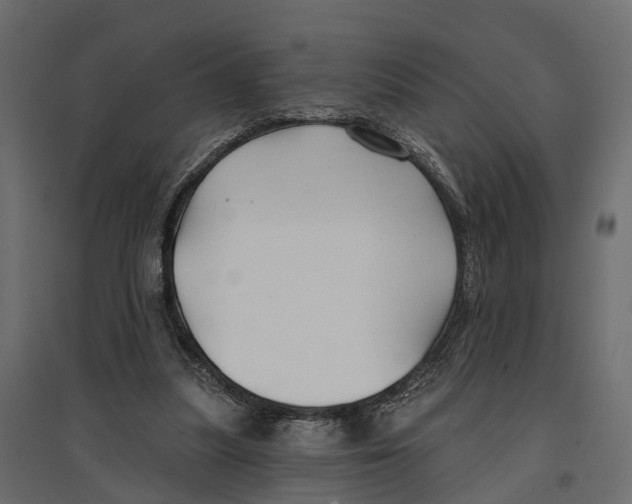 X0000096990251200803071100