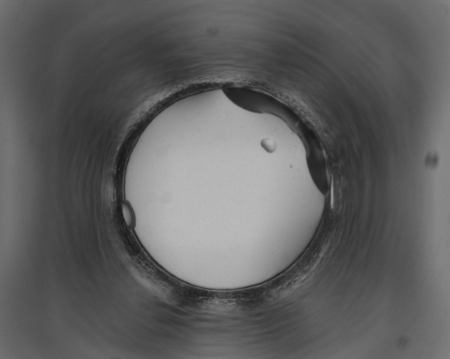 X0000096990252200803071100