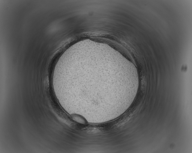 X0000096990254200803071100