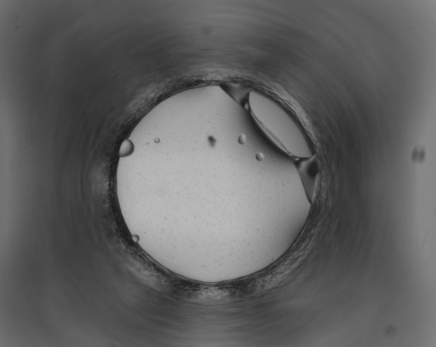 X0000096990257200803071100