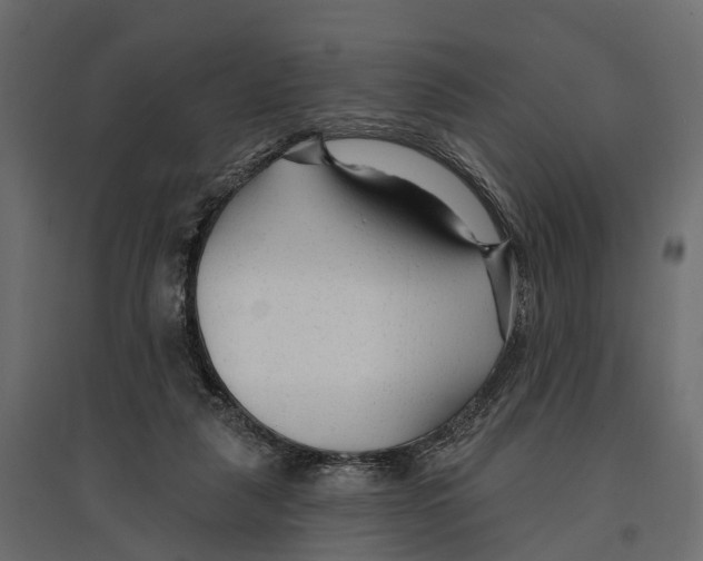 X0000096990259200803071100