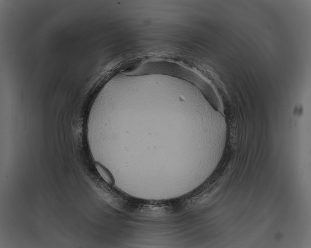 X0000096990260200803071100