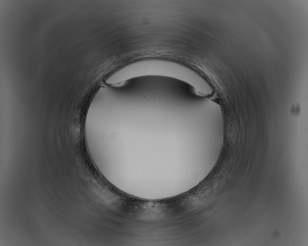 X0000096990261200803071100