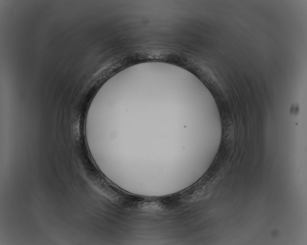 X0000096990262200803071100