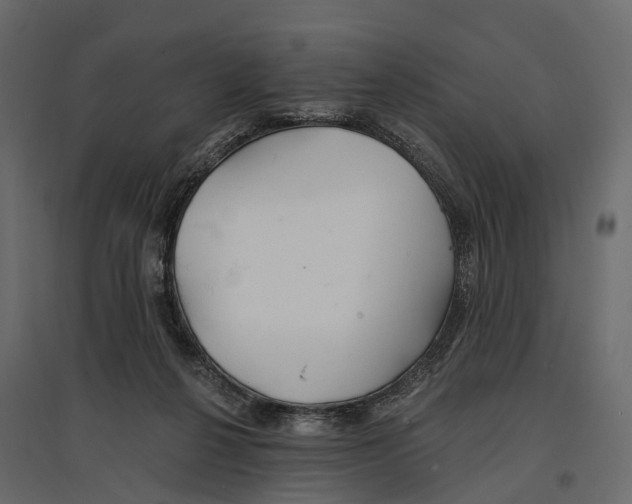 X0000096990264200803071100