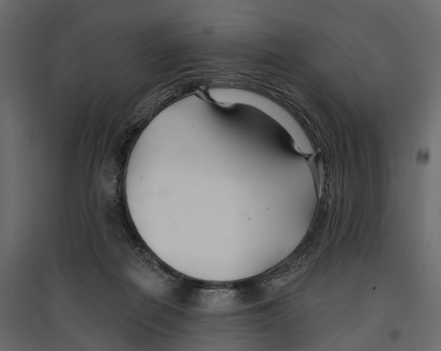 X0000096990266200803071100