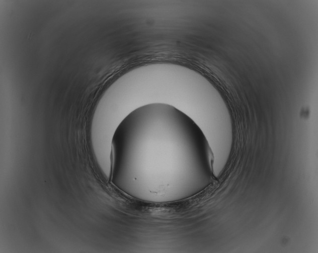 X0000096990268200803071100