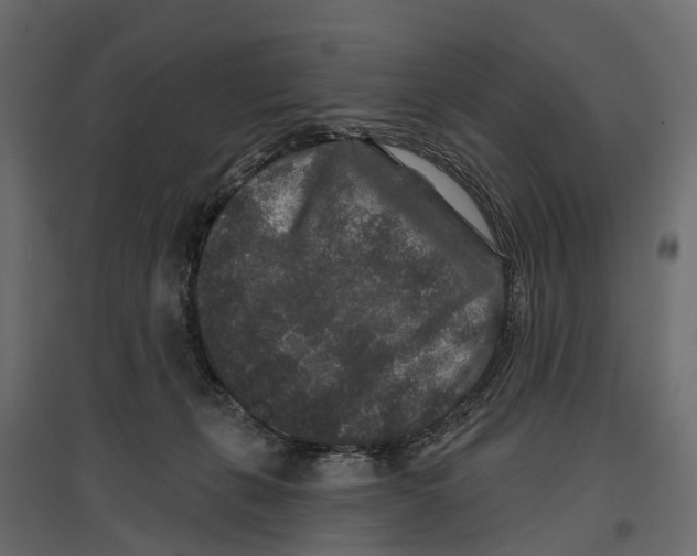 X0000096990271200803071100