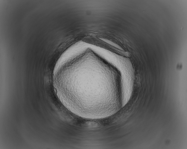 X0000096990272200803071100