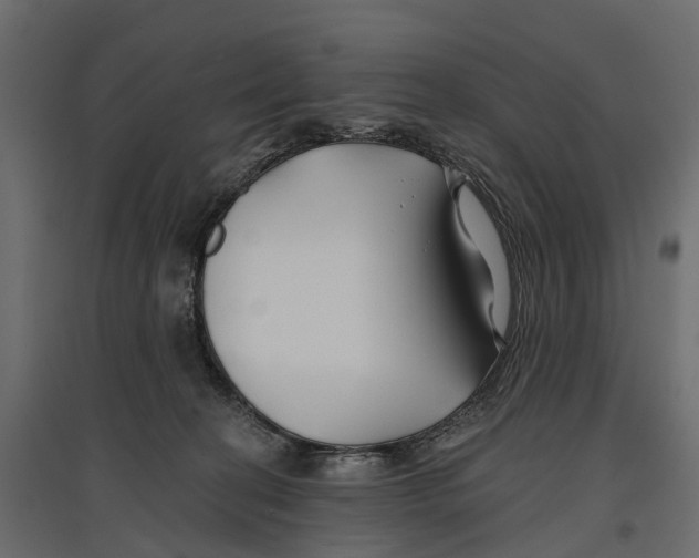 X0000096990274200803071100