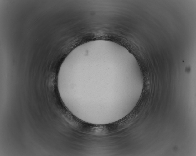 X0000096990275200803071100