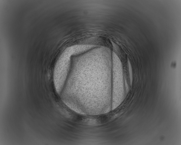 X0000096990276200803071100