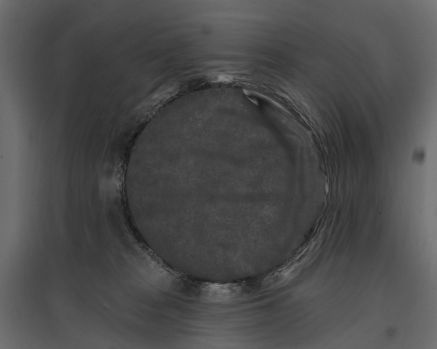 X0000096990277200803071100