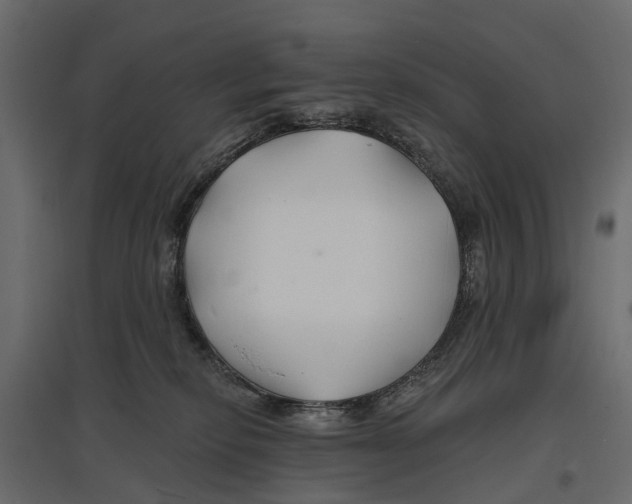 X0000096990278200803071100