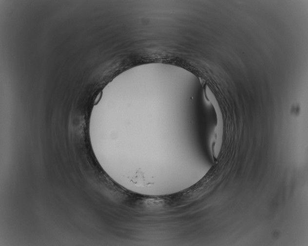 X0000096990279200803071100