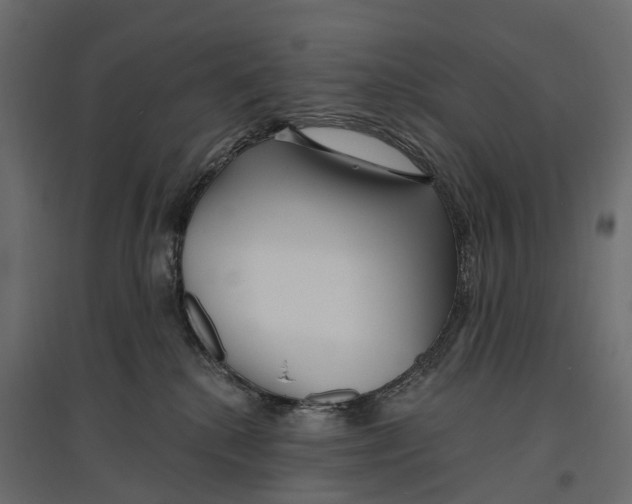 X0000096990280200803071100