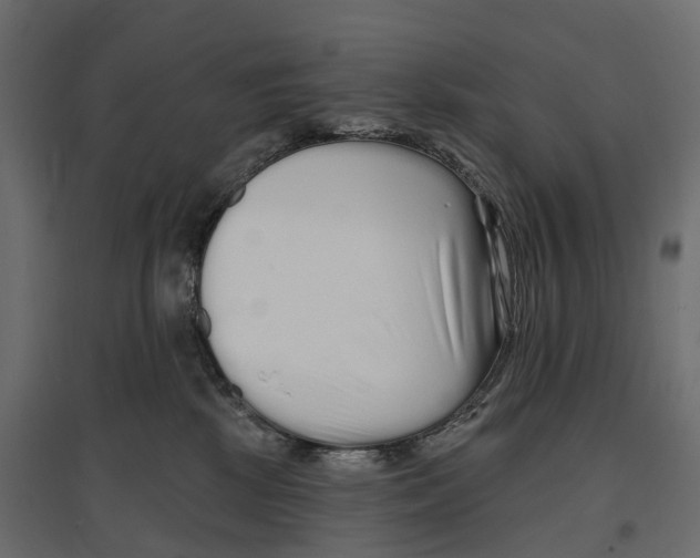 X0000096990281200803071100