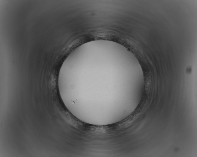 X0000096990282200803071101