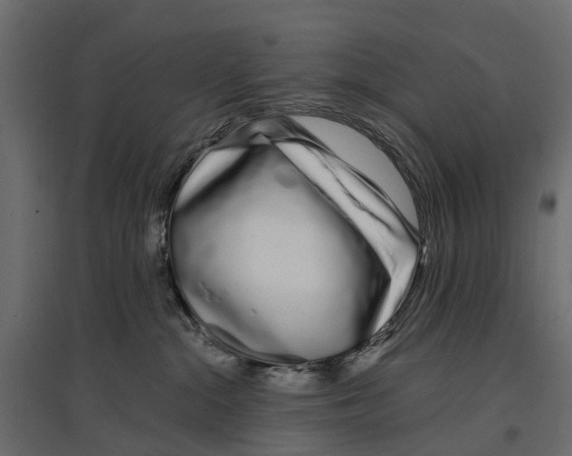 X0000096990284200803071101