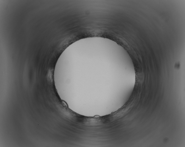 X0000096990286200803071101