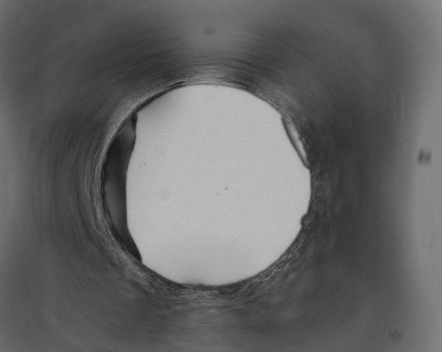 X0000096990289200803071100