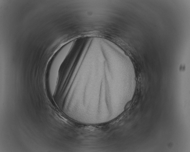 X0000096990290200803071100