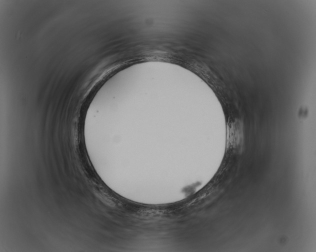 X0000096990291200803071100