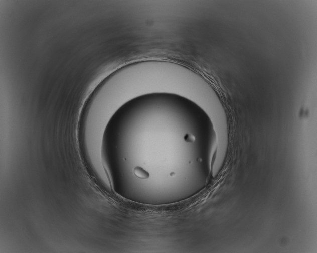 X0000096990292200803071100