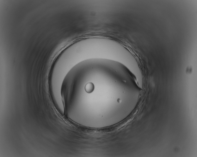 X0000096990293200803071100