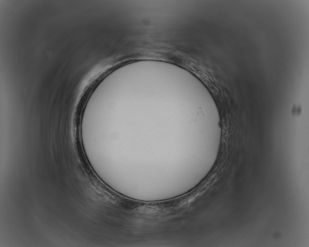 X0000096990294200803071100