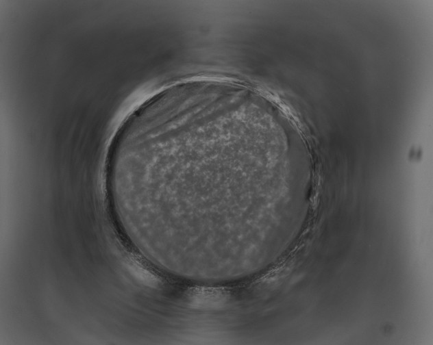 X0000096990296200803071100