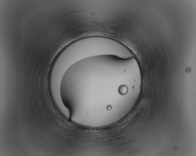 X0000096990297200803071100