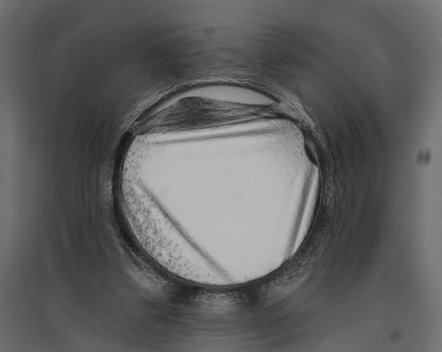 X0000096990299200803071100