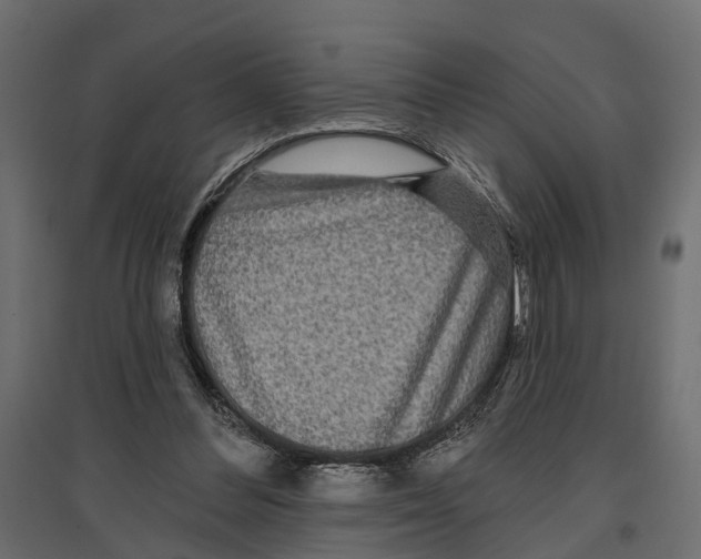 X0000096990300200803071100