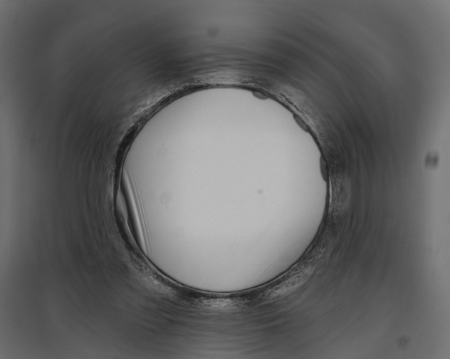 X0000096990301200803071100