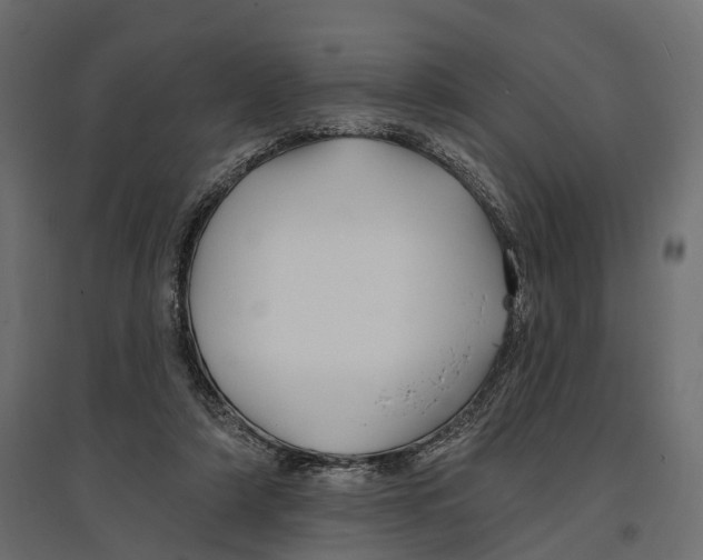 X0000096990306200803071059