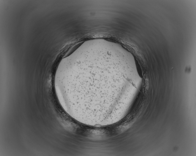 X0000096990308200803071059