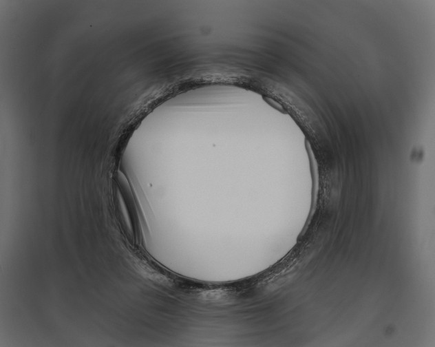 X0000096990309200803071059