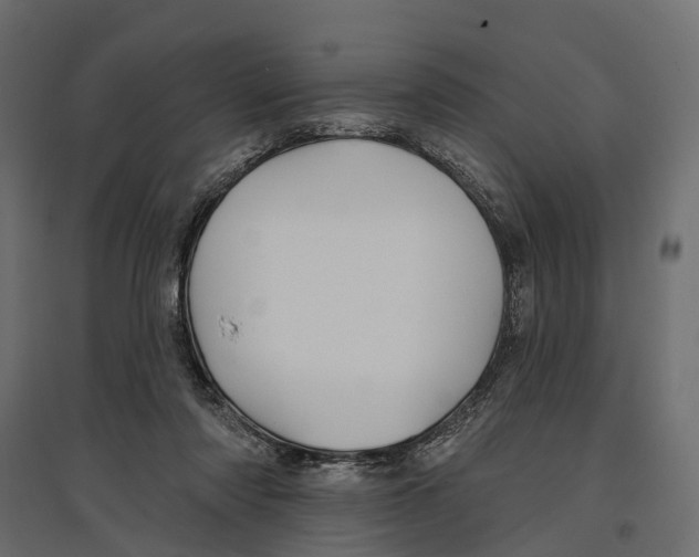 X0000096990310200803071059