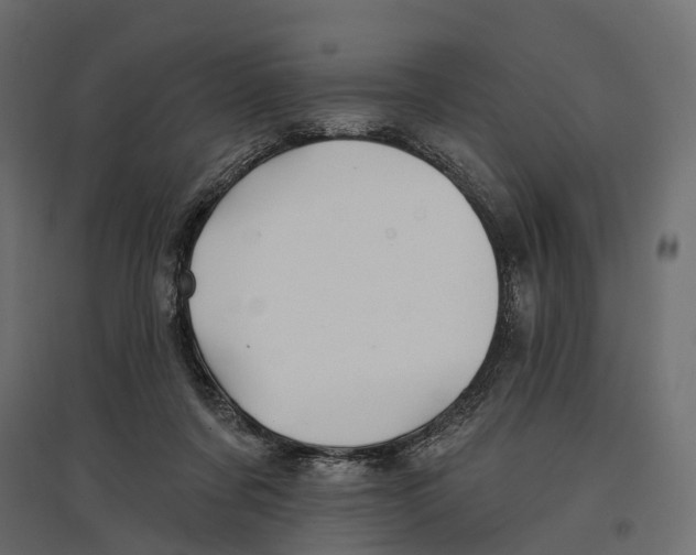 X0000096990311200803071059