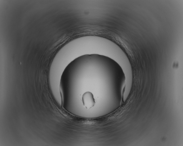 X0000096990313200803071059