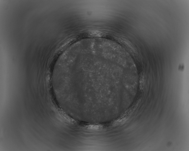 X0000096990314200803071059