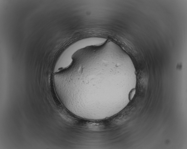 X0000096990315200803071059