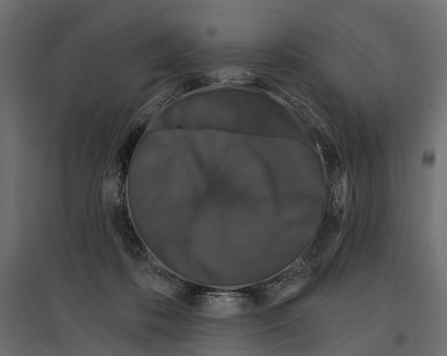 X0000096990316200803071059