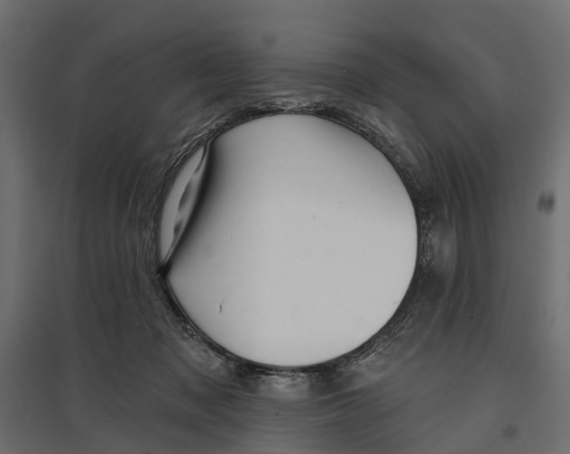 X0000096990317200803071059