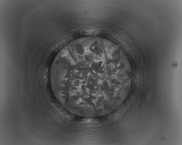 X0000096990319200803071059