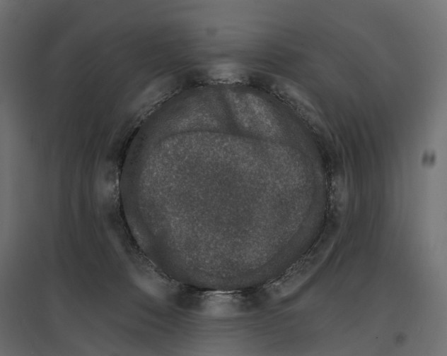 X0000096990320200803071059